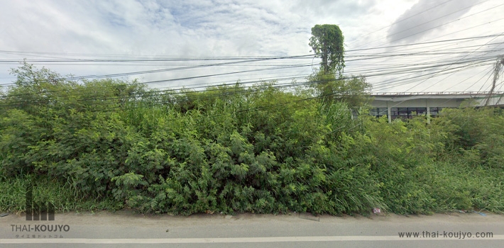 OSD1L0141 OSD1L0141